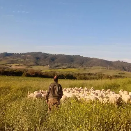 Farm stay Oasi Del Pianettino *